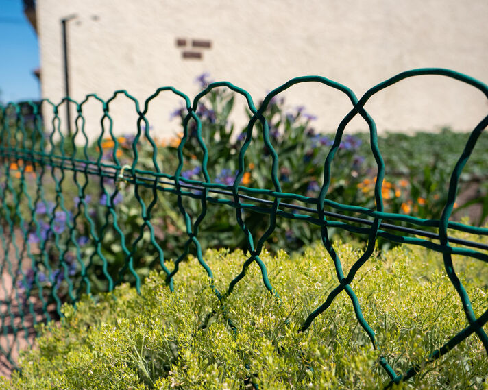Bordure Parisienne N°4 plastifiée
