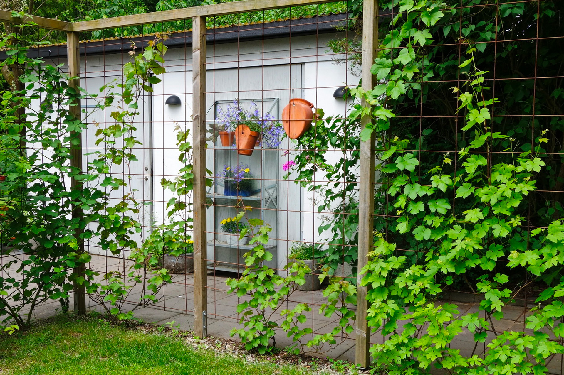 Top 10 des meilleures idées pour clôturer son jardin