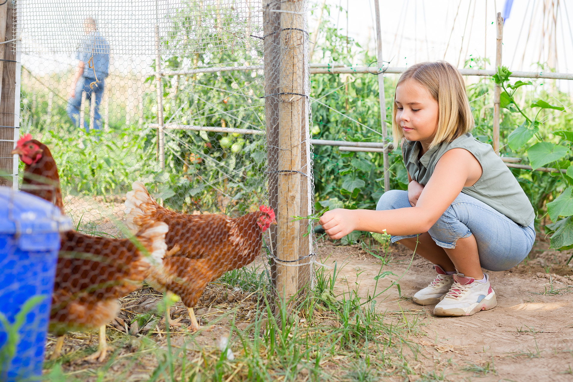 Grillages agricoles et enclos : Créez un espace dédié à vos animaux