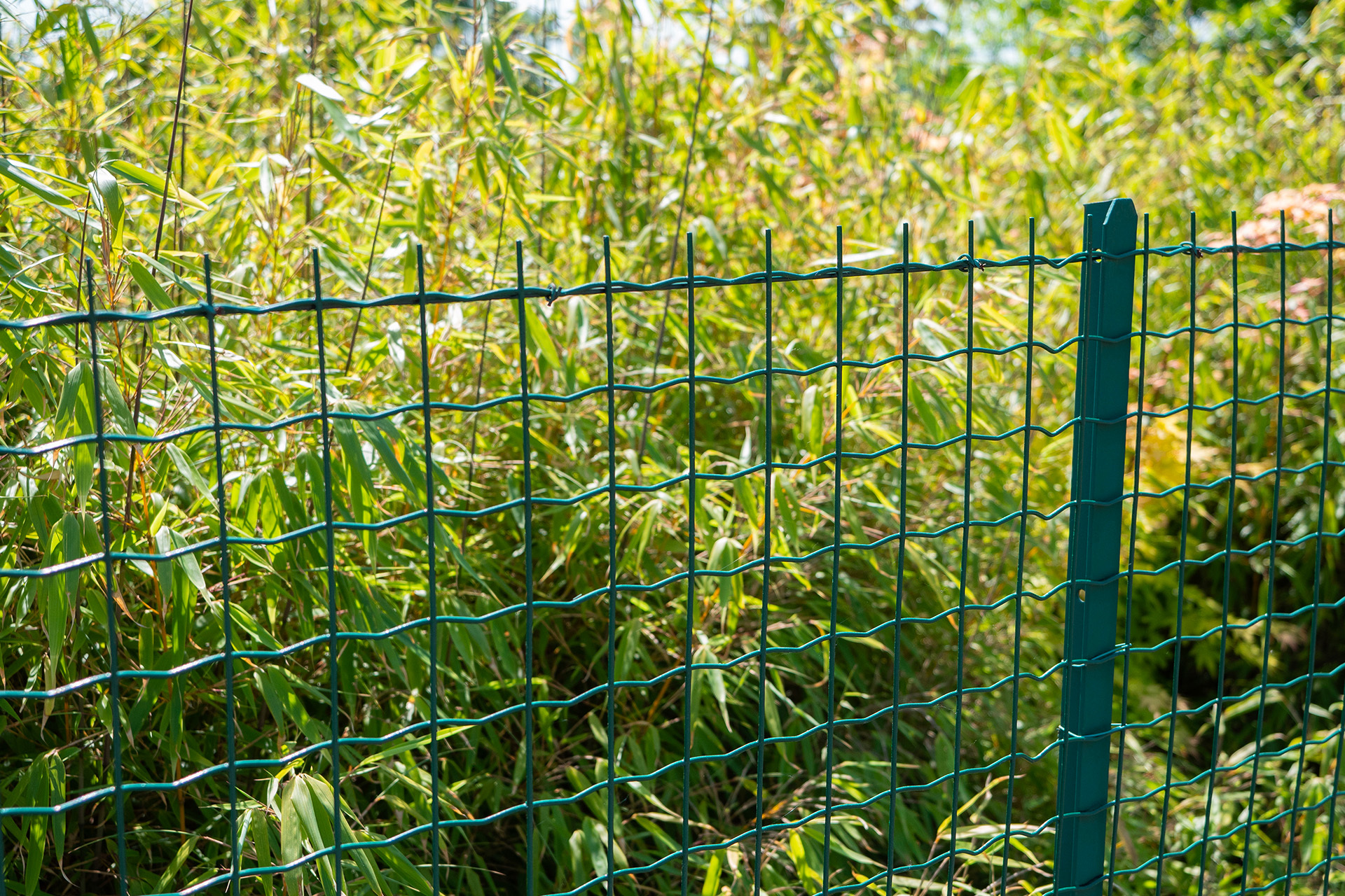 Connaître les différents types de clôtures pour faire le bon choix.